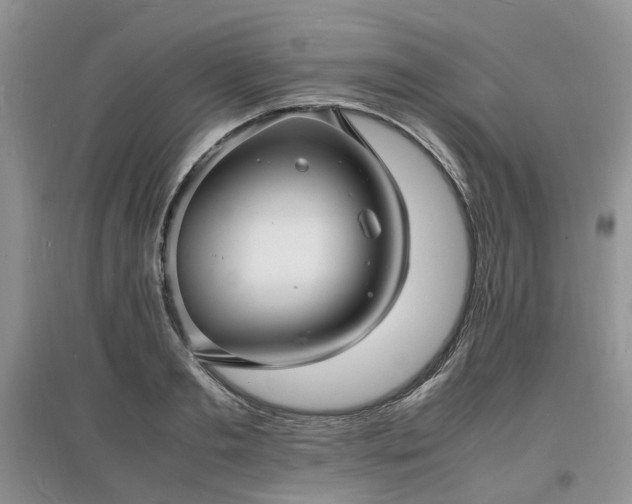 X0000097620893200803071508