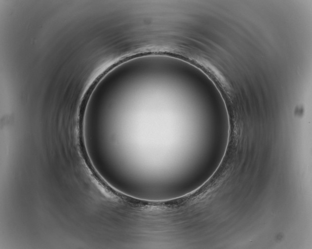 X0000097620894200803071508