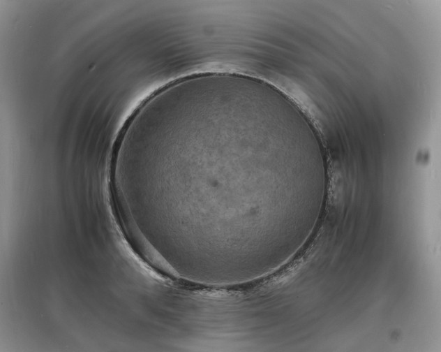 X0000097620896200803071508