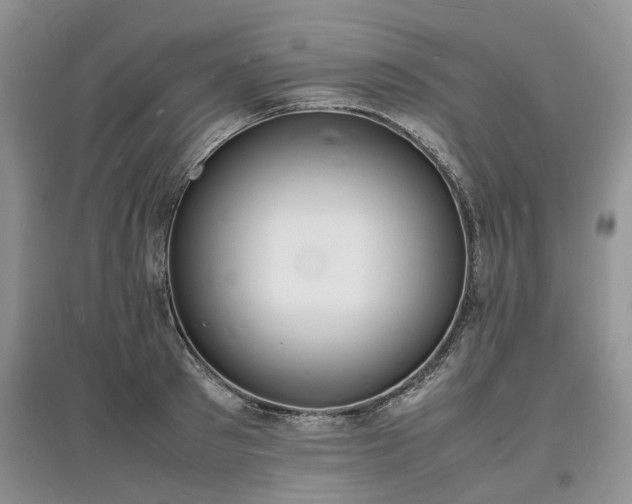 X0000097620897200803071508