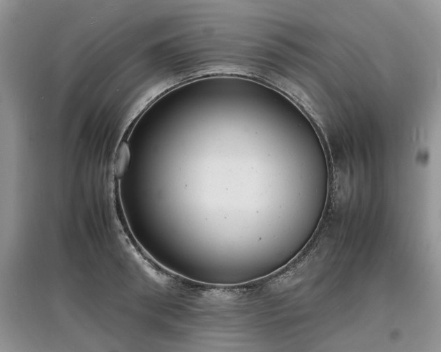 X0000097620898200803071508