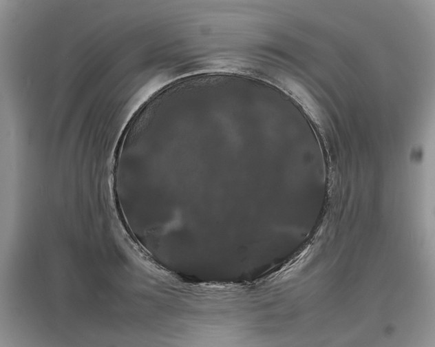 X0000097620899200803071508