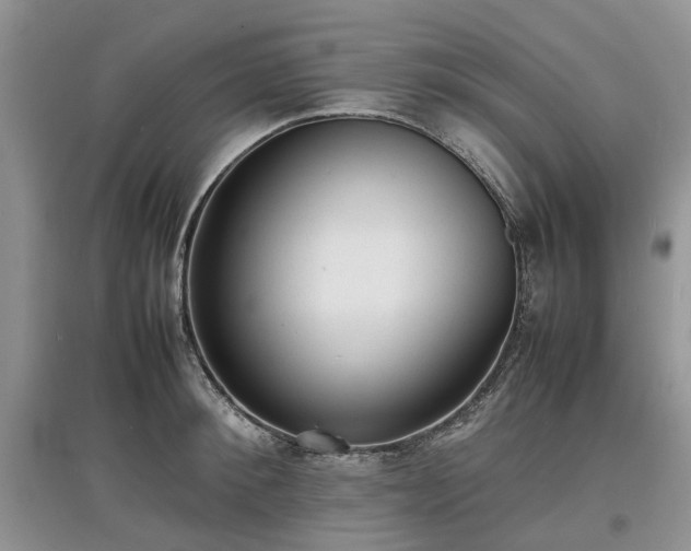 X0000097620900200803071508