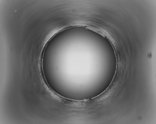 X0000097620901200803071508