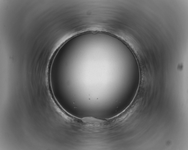 X0000097620902200803071508