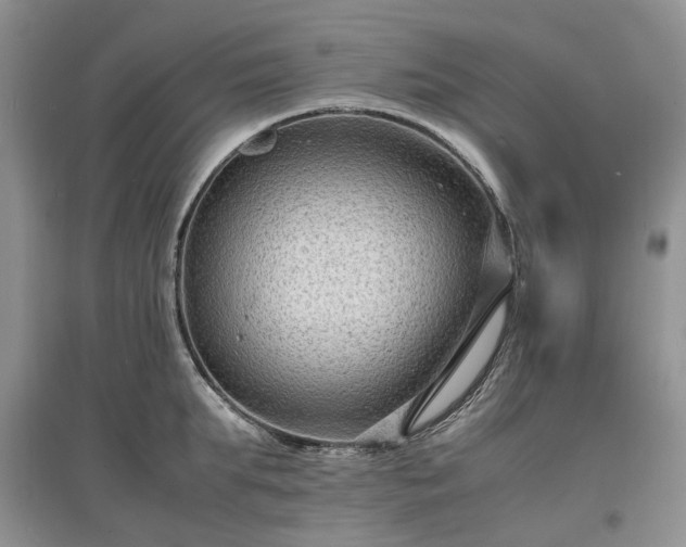 X0000097620903200803071508
