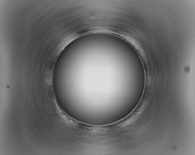 X0000097620905200803071507