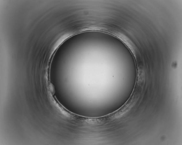 X0000097620906200803071507