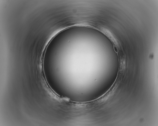 X0000097620908200803071507