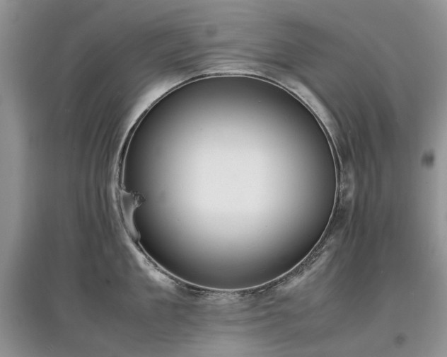 X0000097620909200803071507