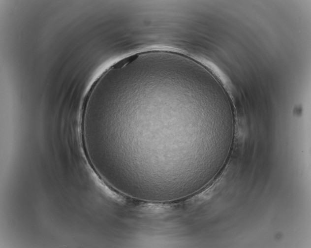 X0000097620910200803071507