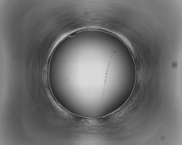 X0000097620911200803071507