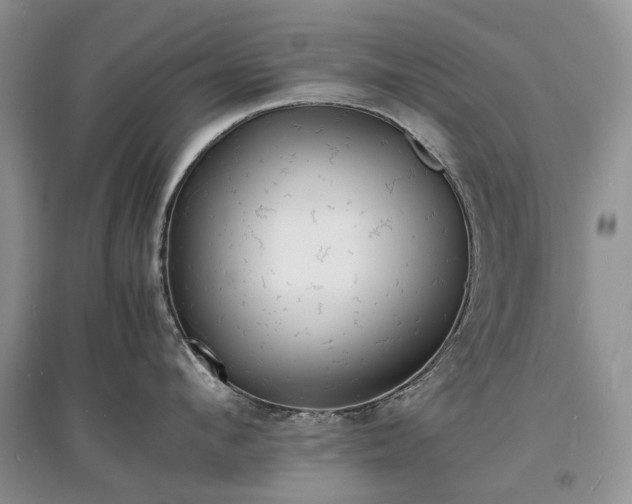 X0000097620912200803071507