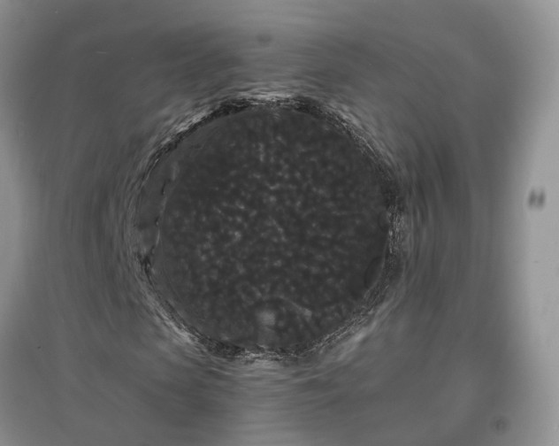X0000097620913200803071507