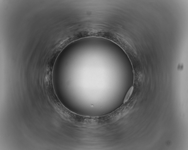 X0000097620914200803071507
