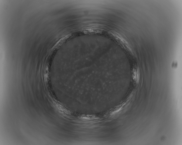 X0000097620915200803071507