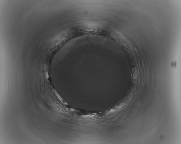 X0000097620916200803071507