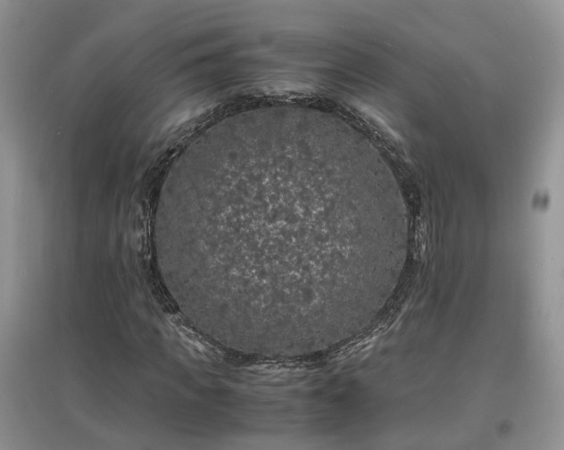 X0000097620917200803071507