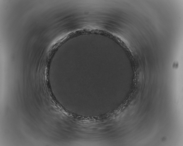 X0000097620919200803071507