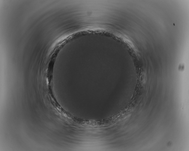 X0000097620920200803071507