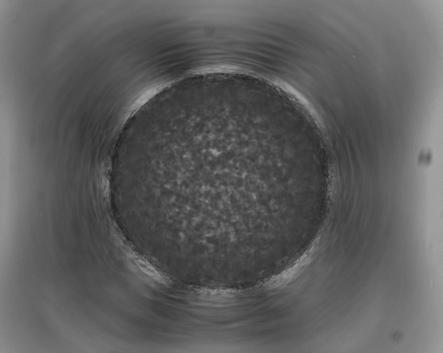 X0000097620921200803071507