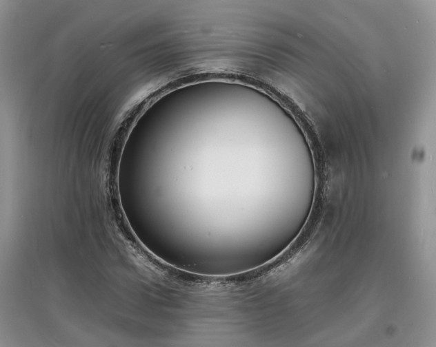 X0000097620922200803071507