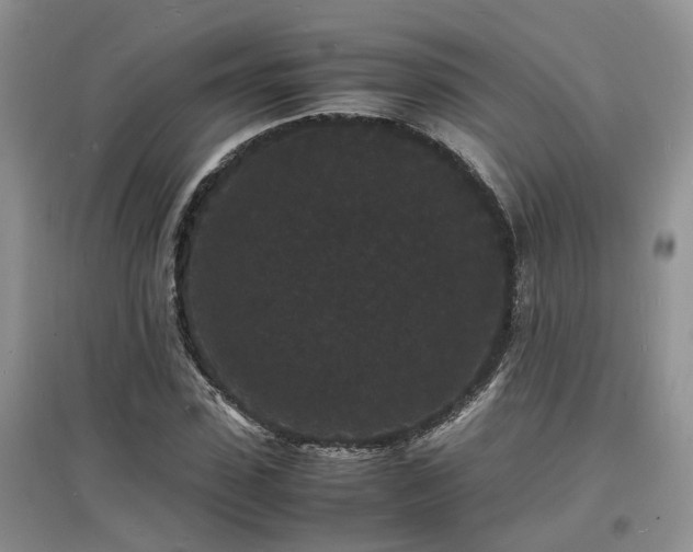 X0000097620923200803071507