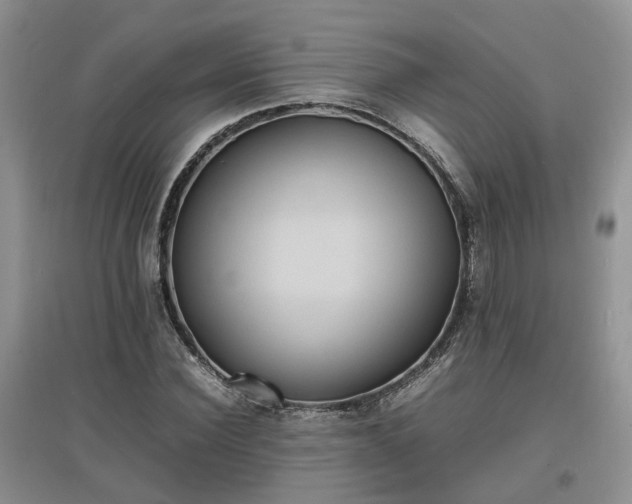X0000097620924200803071507