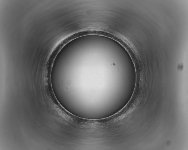 X0000097620926200803071507