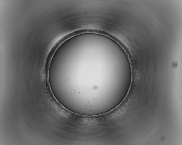 X0000097620927200803071507
