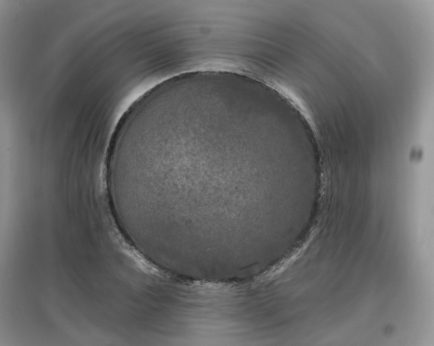 X0000097620928200803071507