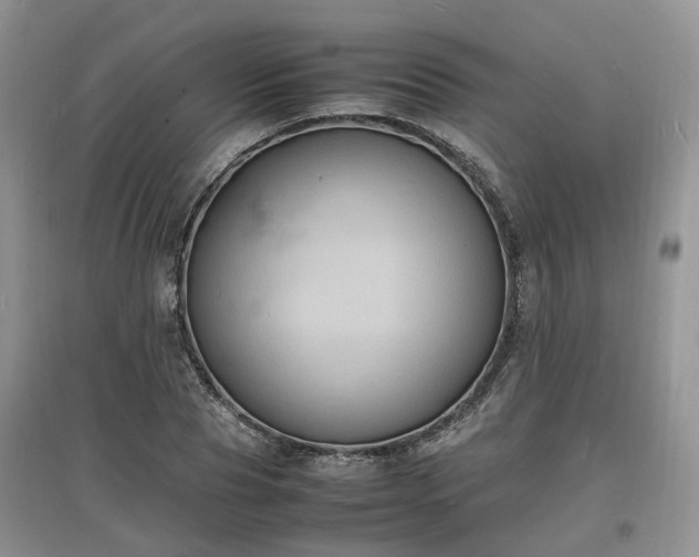 X0000097620929200803071507