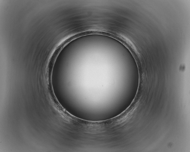 X0000097620931200803071507