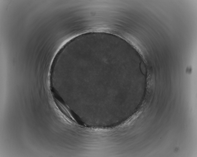 X0000097620932200803071507