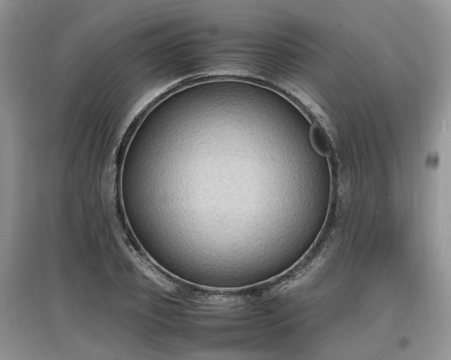 X0000097620933200803071507