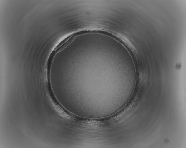 X0000097620934200803071507