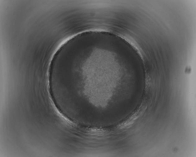 X0000097620935200803071507