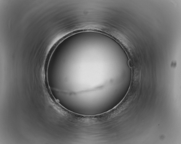 X0000097620936200803071507