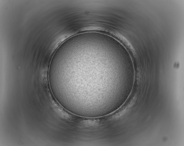 X0000097620937200803071507