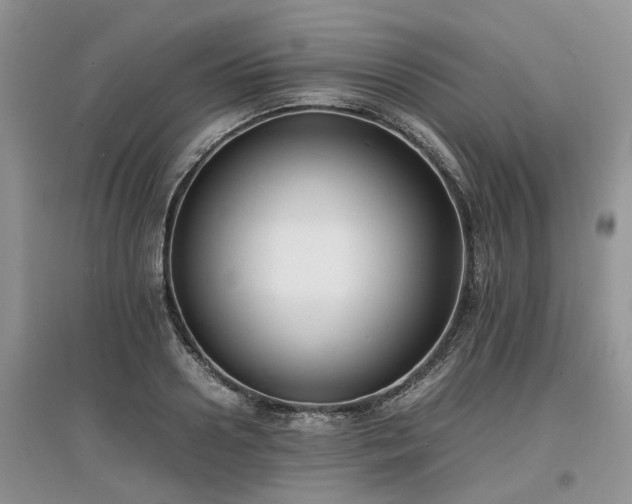 X0000097620938200803071507