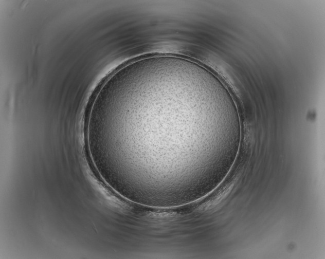 X0000097620939200803071507