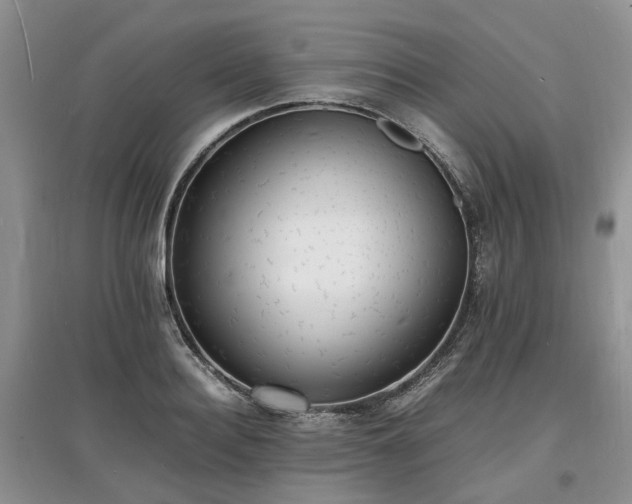 X0000097620940200803071507