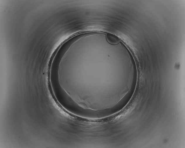 X0000097620941200803071507