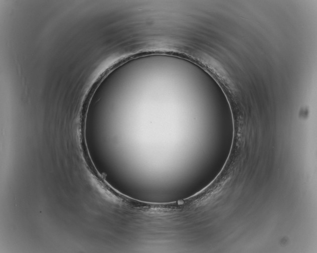 X0000097620942200803071507