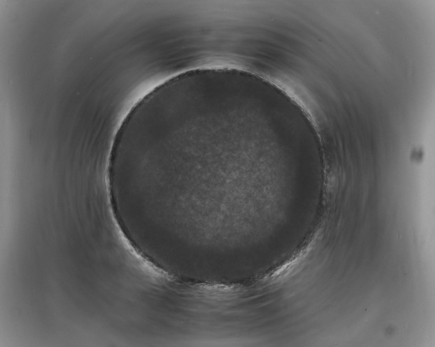 X0000097620943200803071507
