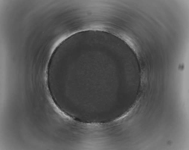 X0000097620944200803071507