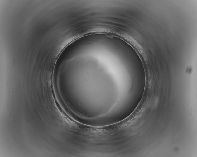 X0000097620945200803071507