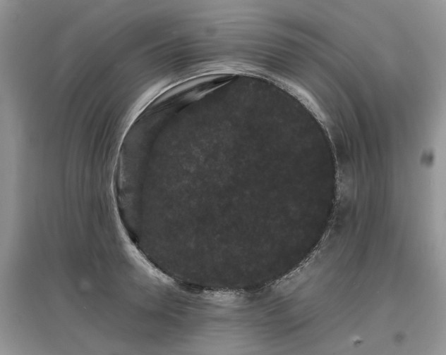 X0000097620946200803071507