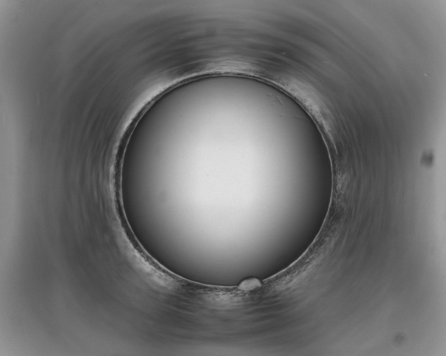 X0000097620947200803071507