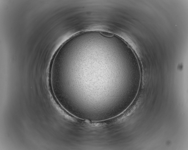 X0000097620949200803071507